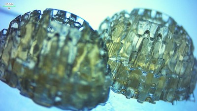 3D Bioprinted breast implants produced by CollPlant and currently used in preclinical studies